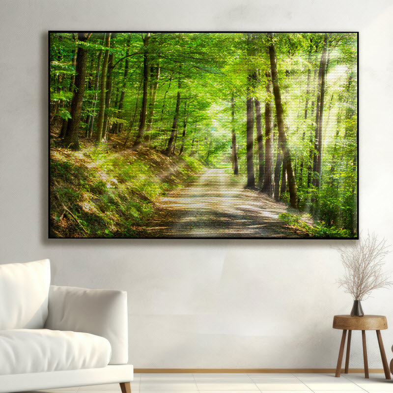 Akustikstoff mit Motiv: Waldweg mit Sonnenstrahlen