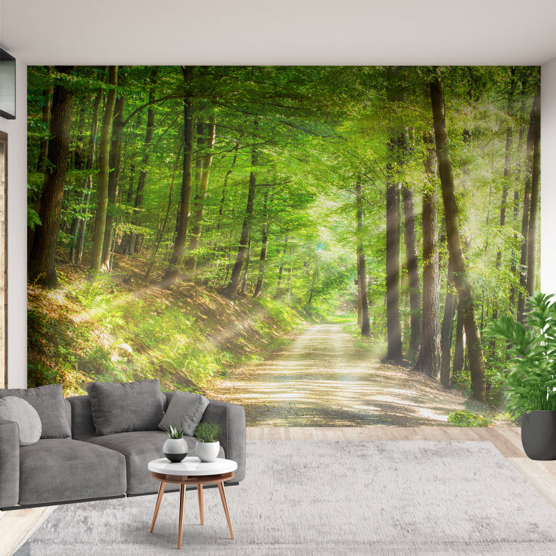 Tapete mit Motiv: Waldweg mit Sonnenstrahlen