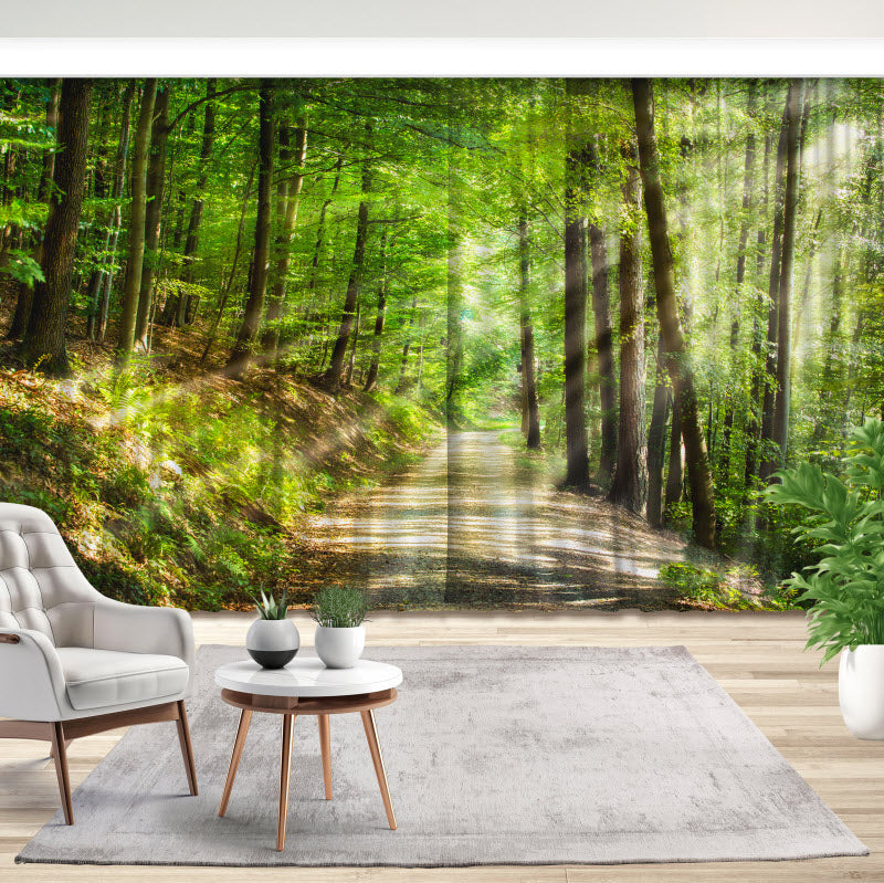 Fotovorhang: Waldweg mit Sonnenstrahlen