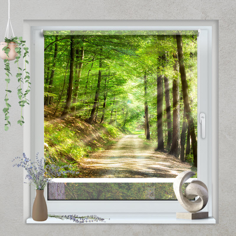 Klemmfix Rollo mit Motiv: Waldweg mit Sonnenstrahlen