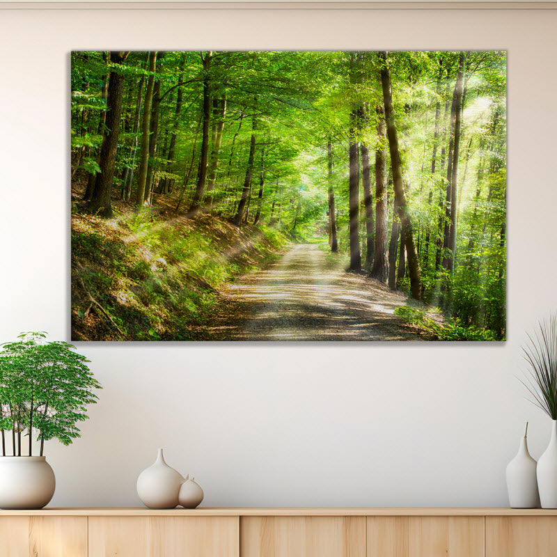 Leinwand mit Motiv: Waldweg mit Sonnenstrahlen