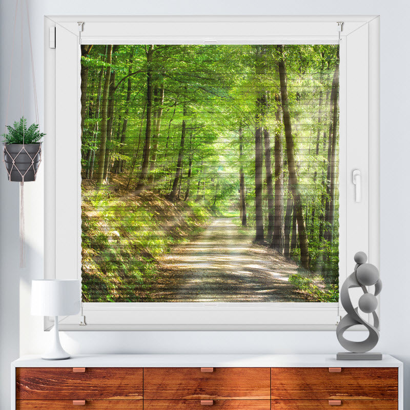 Wabenplissee mit Motiv: Waldweg mit Sonnenstrahlen