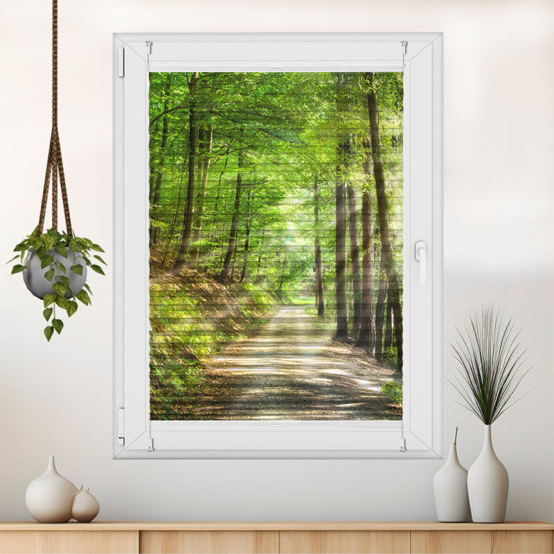 Wabenplissee mit Motiv: Waldweg mit Sonnenstrahlen