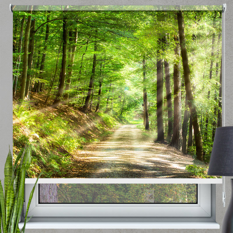 Rollo mit Motiv: Waldweg mit Sonnenstrahlen