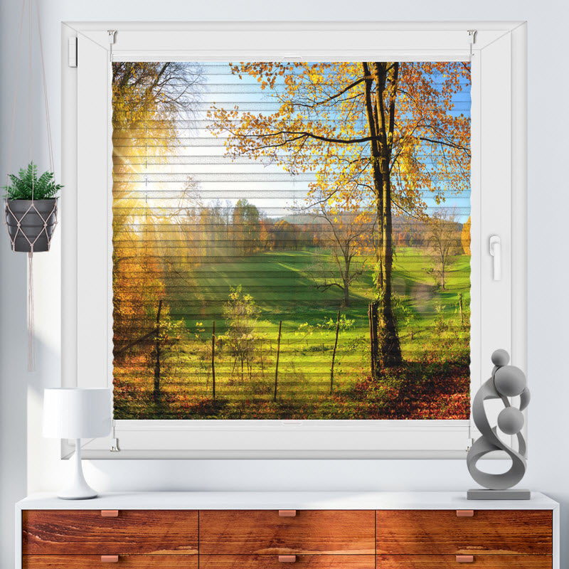 Plissee mit Motiv: Landschaft im Herbst