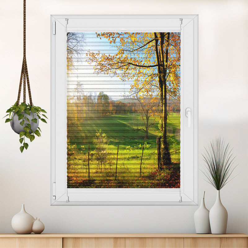 Plissee mit Motiv: Landschaft im Herbst