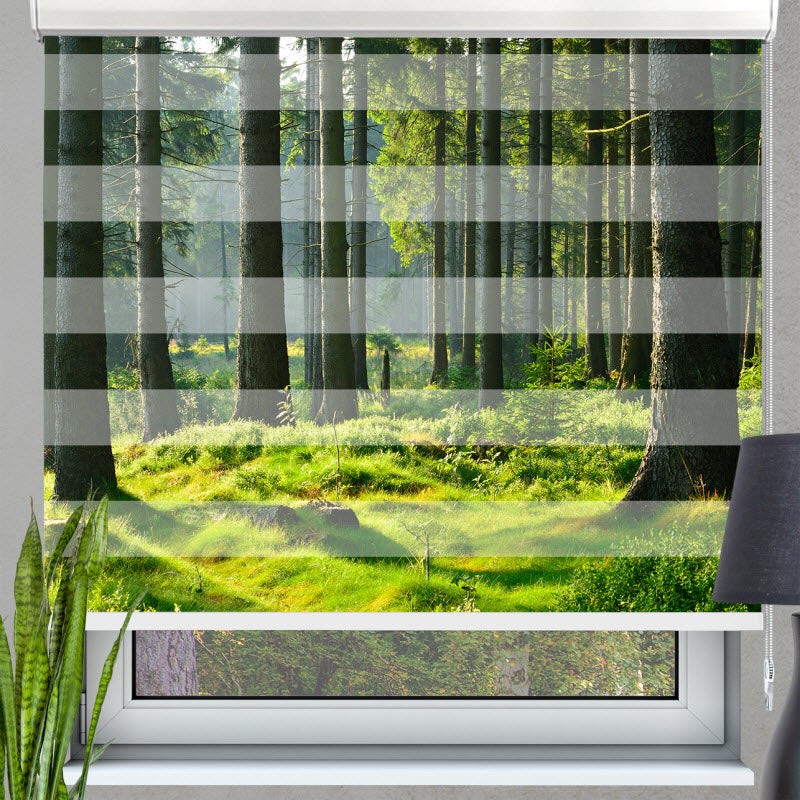 Doppelrollo mit Motiv: Fichtenwald