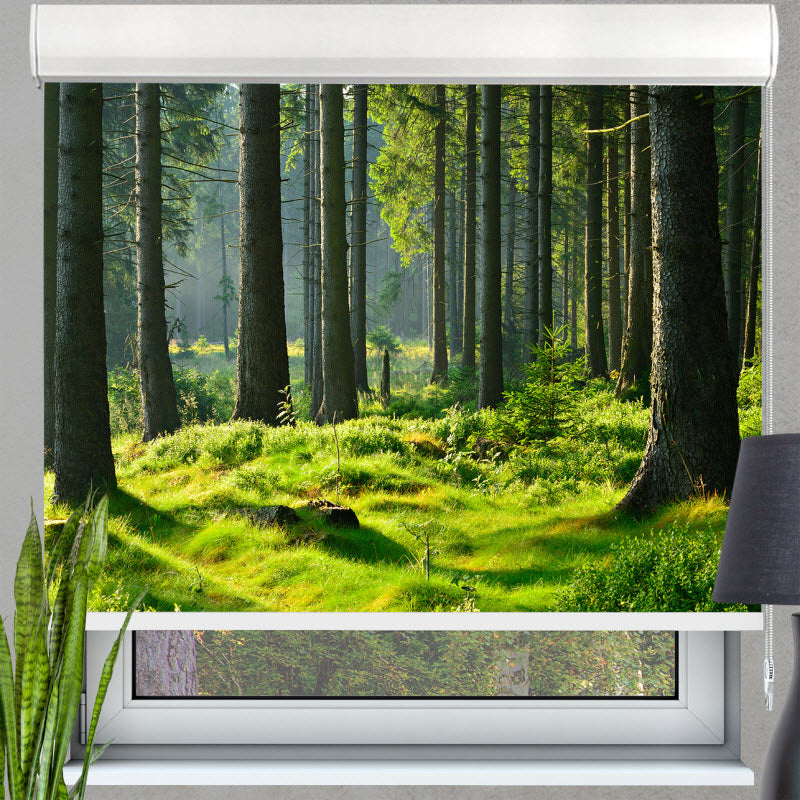 Kassettenrollo mit Motiv: Fichtenwald