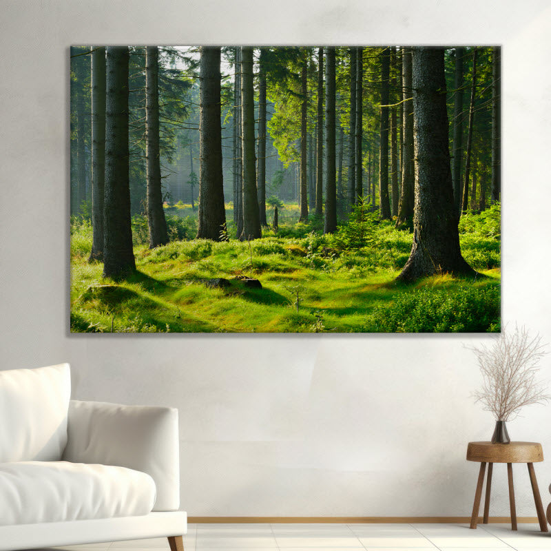 Leinwand mit Motiv: Fichtenwald