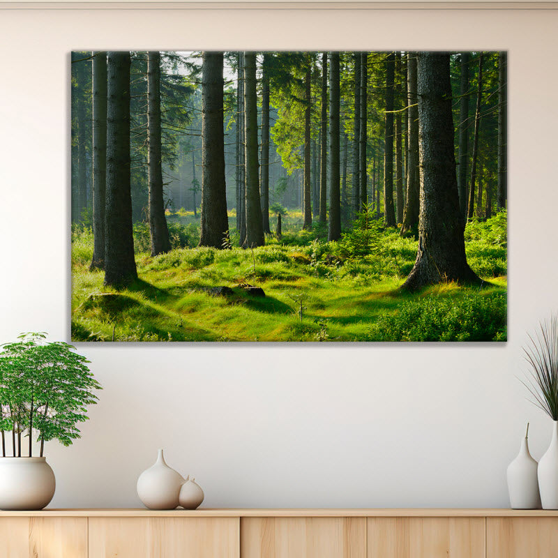 Leinwand mit Motiv: Fichtenwald