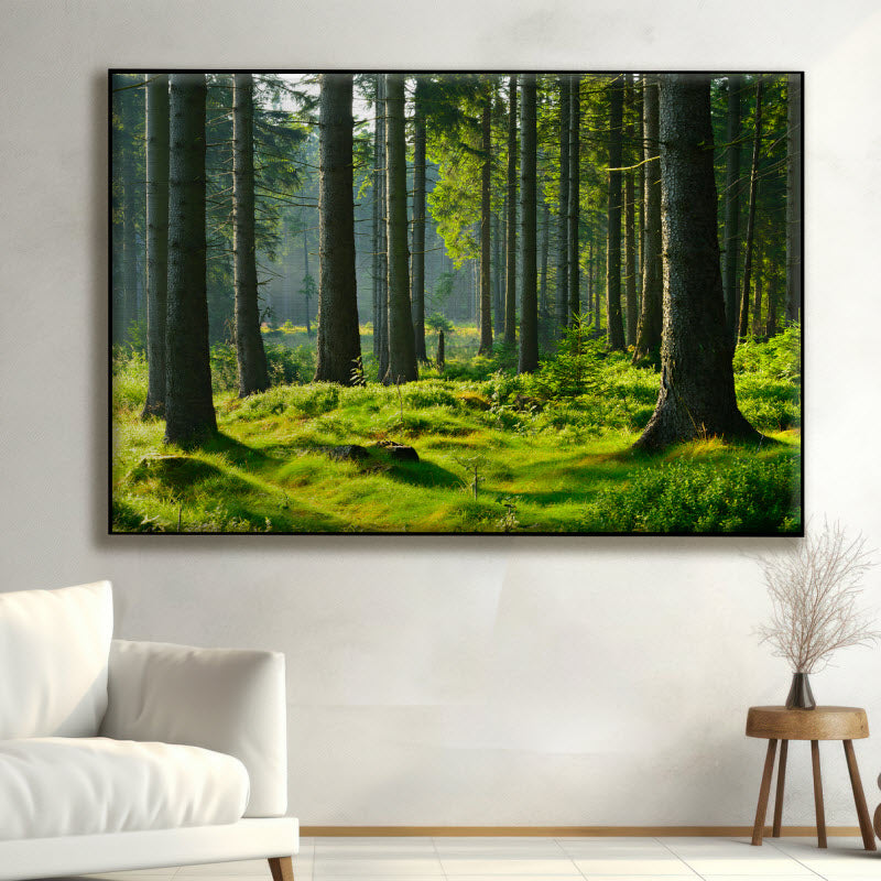 Textilspannrahmen mit Motiv: Fichtenwald