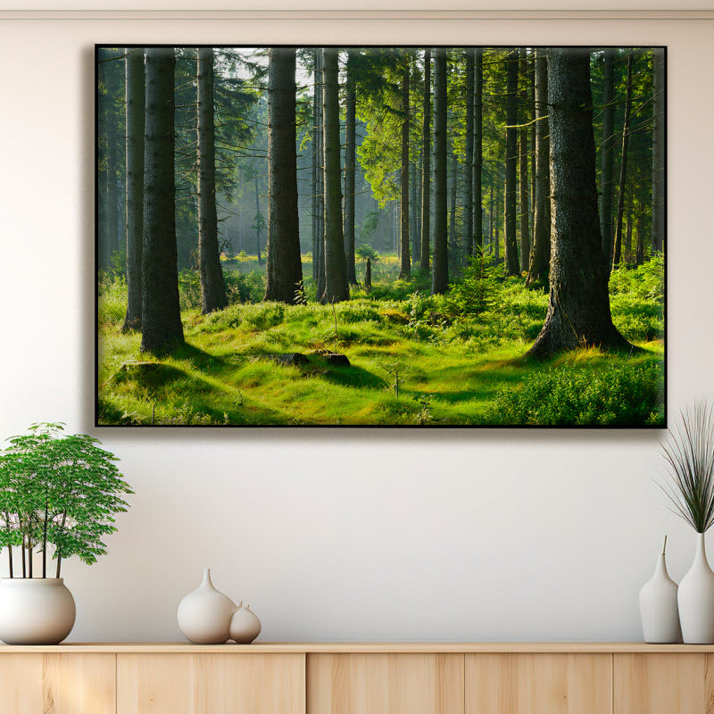 Textilspannrahmen mit Motiv: Fichtenwald