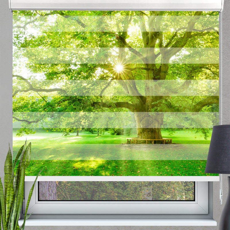 Doppelrollo mit Motiv: Platanenbaum