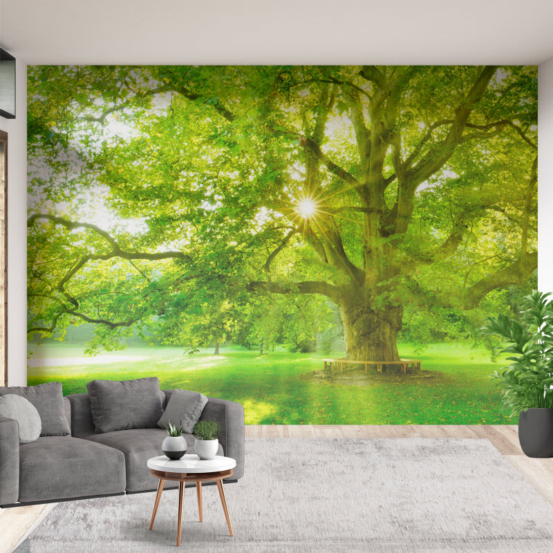 Tapete mit Motiv: Platanenbaum