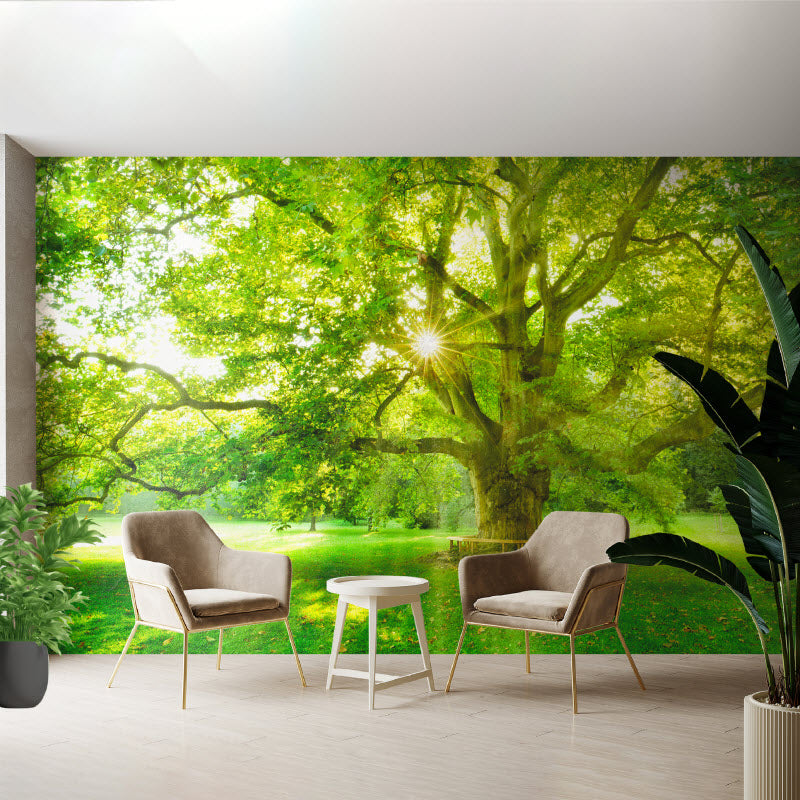 Tapete mit Motiv: Platanenbaum