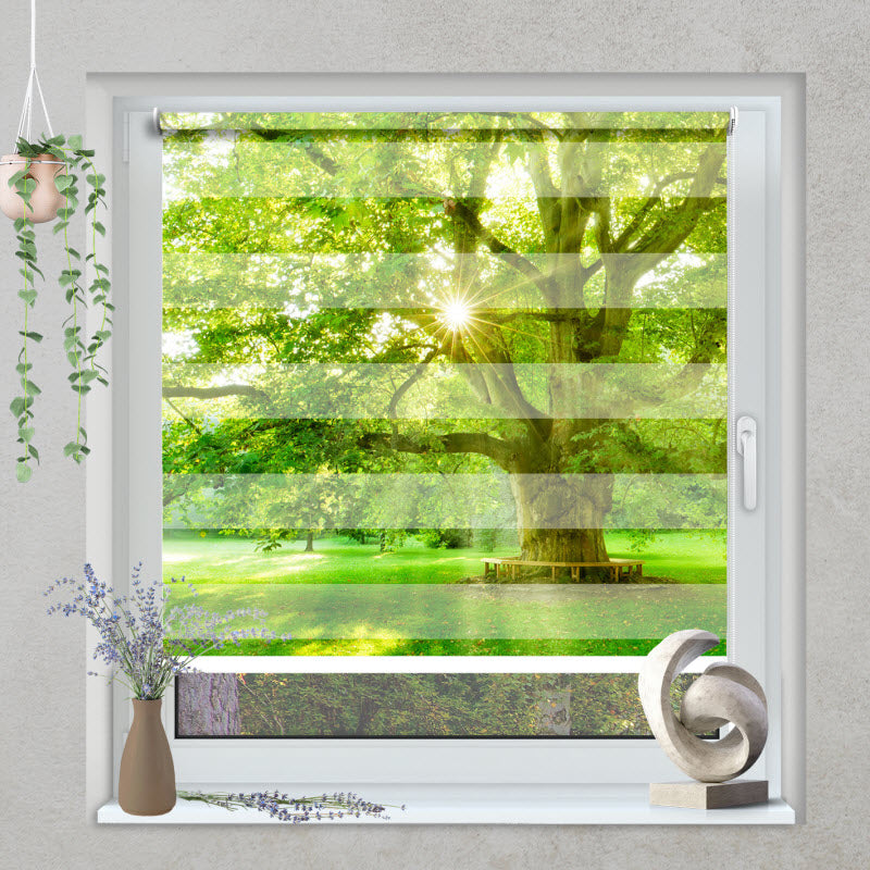Klemmfix Doppelrollo mit Motiv: Platanenbaum