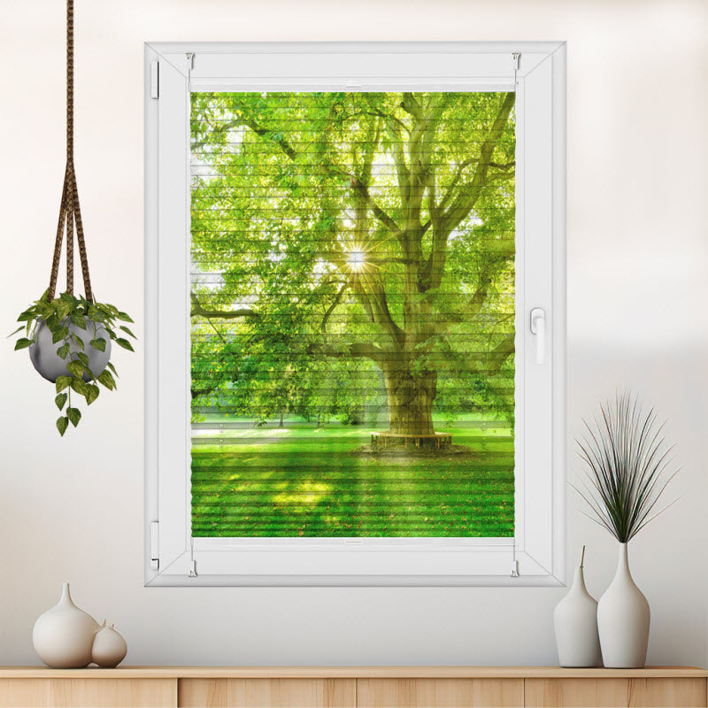 Wabenplissee mit Motiv: Platanenbaum