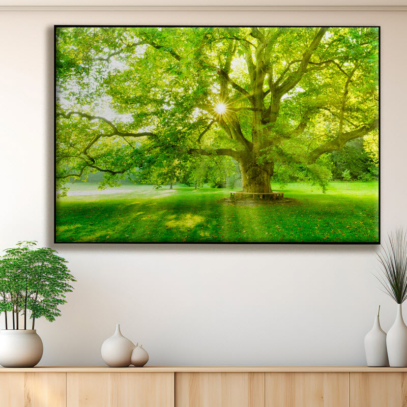 Textilspannrahmen mit Motiv: Platanenbaum