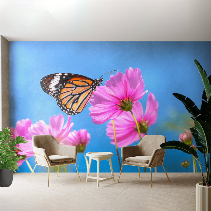 Tapete mit Motiv: Schmetterling auf Kosmosblume