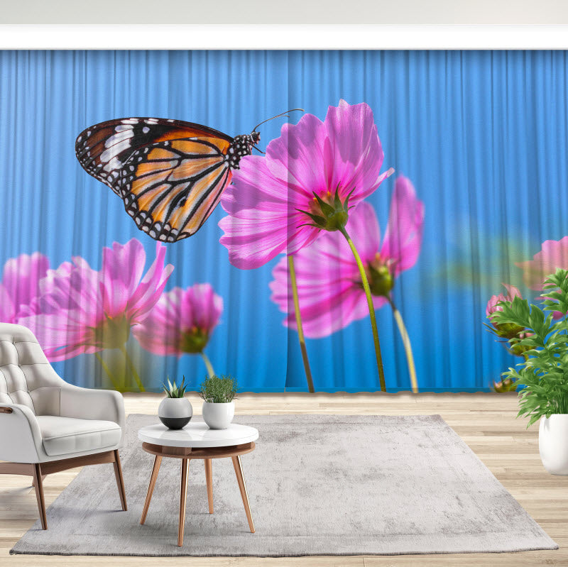 Fotovorhang: Schmetterling auf Kosmosblume