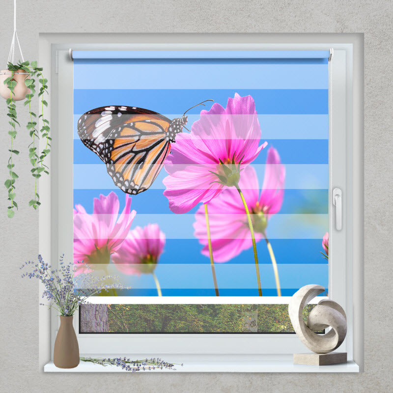 Klemmfix Doppelrollo mit Motiv: Schmetterling auf Kosmosblume