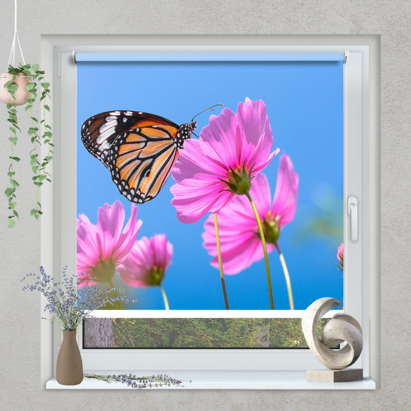 Klemmfix Rollo mit Motiv: Schmetterling auf Kosmosblume
