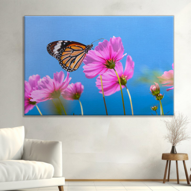 Leinwand mit Motiv: Schmetterling auf Kosmosblume