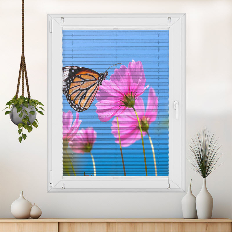 Plissee mit Motiv: Schmetterling auf Kosmosblume