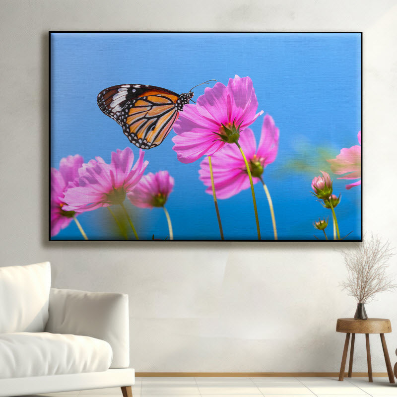 Textilspannrahmen mit Motiv: Schmetterling auf Kosmosblume