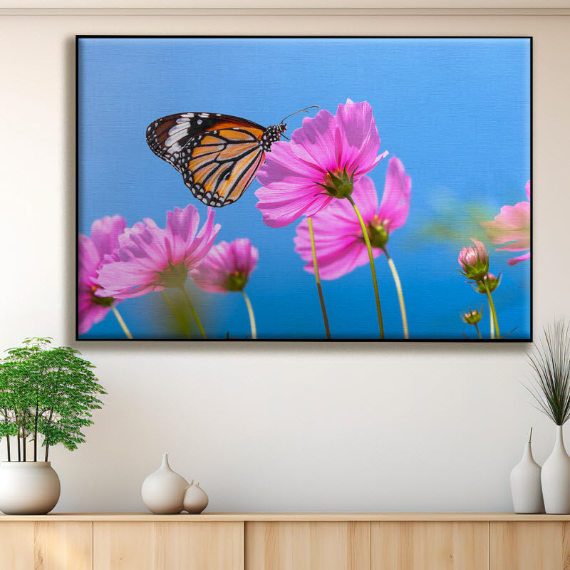 Textilspannrahmen mit Motiv: Schmetterling auf Kosmosblume