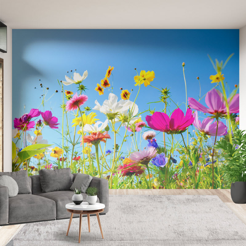 Tapete mit Motiv: Bunte Blumenwiese
