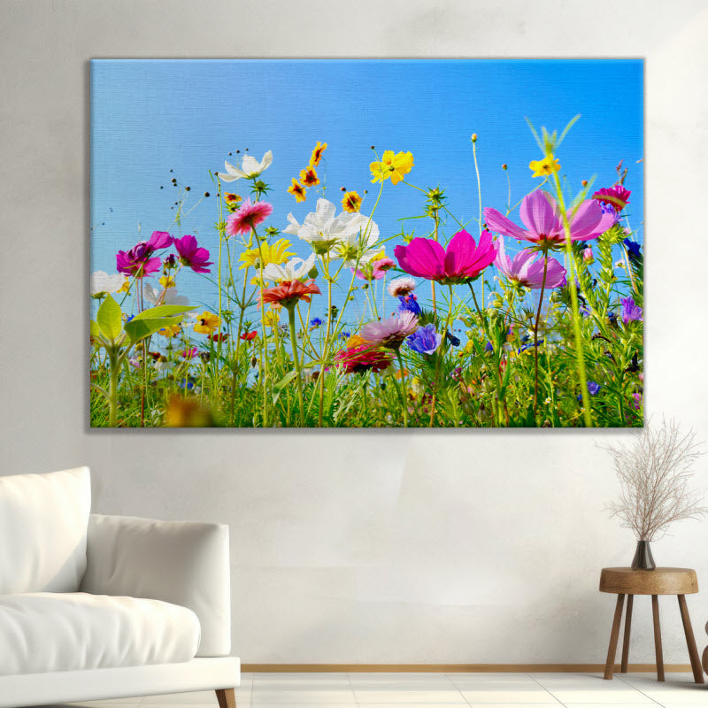 Leinwand mit Motiv: Bunte Blumenwiese