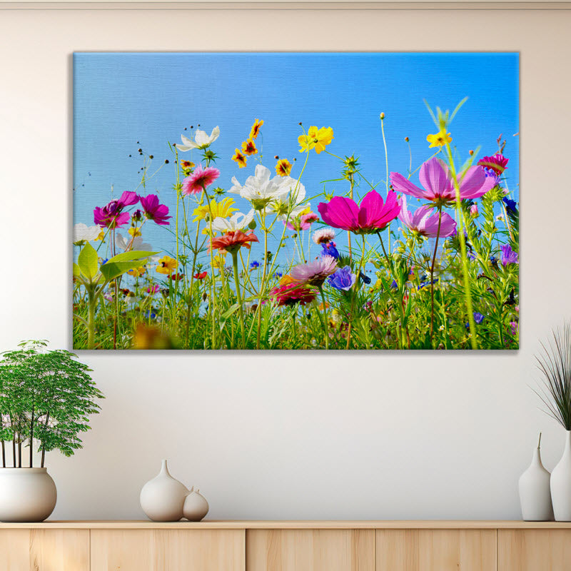 Leinwand mit Motiv: Bunte Blumenwiese
