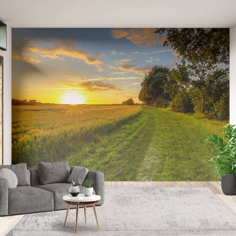 Tapete mit Motiv: Weizenfeld