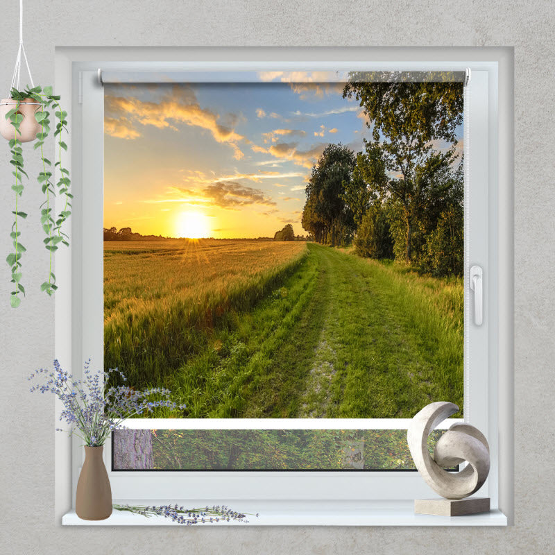 Klemmfix Rollo mit Motiv: Weizenfeld