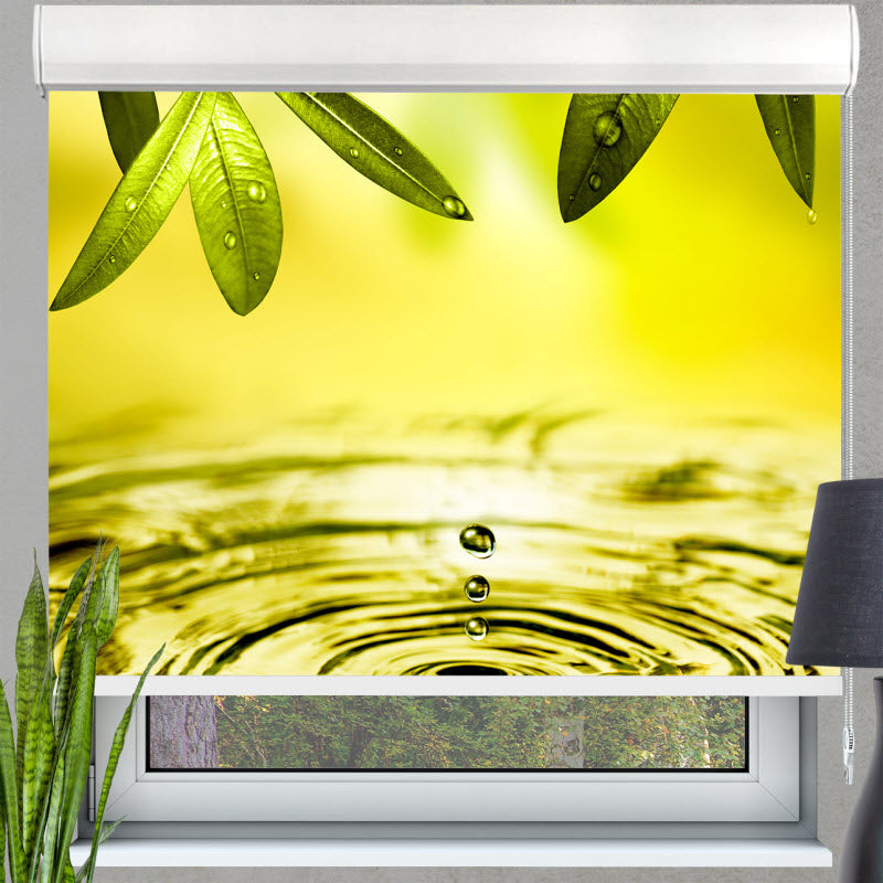 Kassettenrollo mit Motiv: Blätter über Wasser