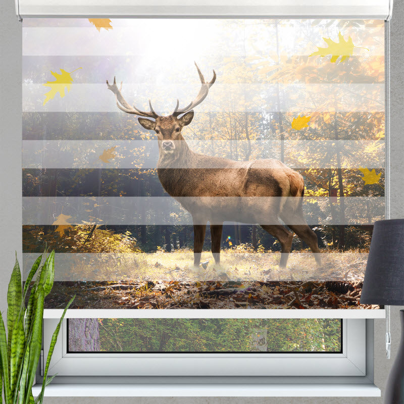 Doppelrollo mit Motiv: Hirsch im Herbstwald