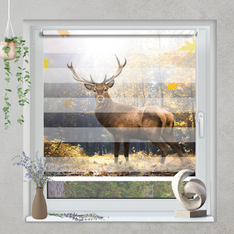Klemmfix Doppelrollo mit Motiv: Hirsch im Herbstwald