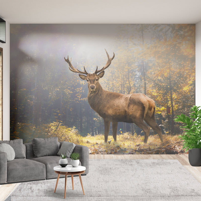 Tapete mit Motiv: Hirsch im Wald