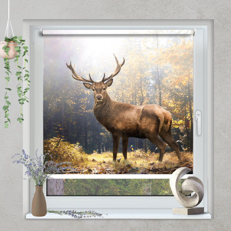 Klemmfix Rollo mit Motiv: Hirsch im Wald