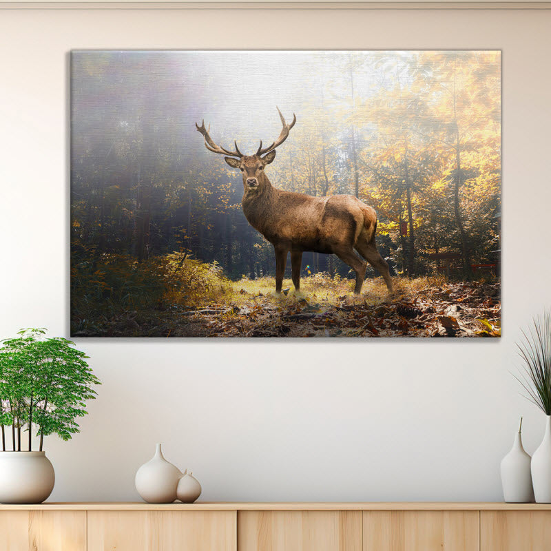 Leinwand mit Motiv: Hirsch im Wald