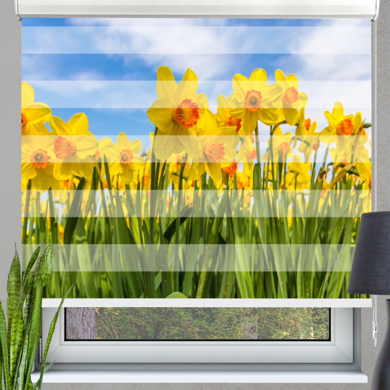 Doppelrollo mit Motiv: Gelbe Narzissen