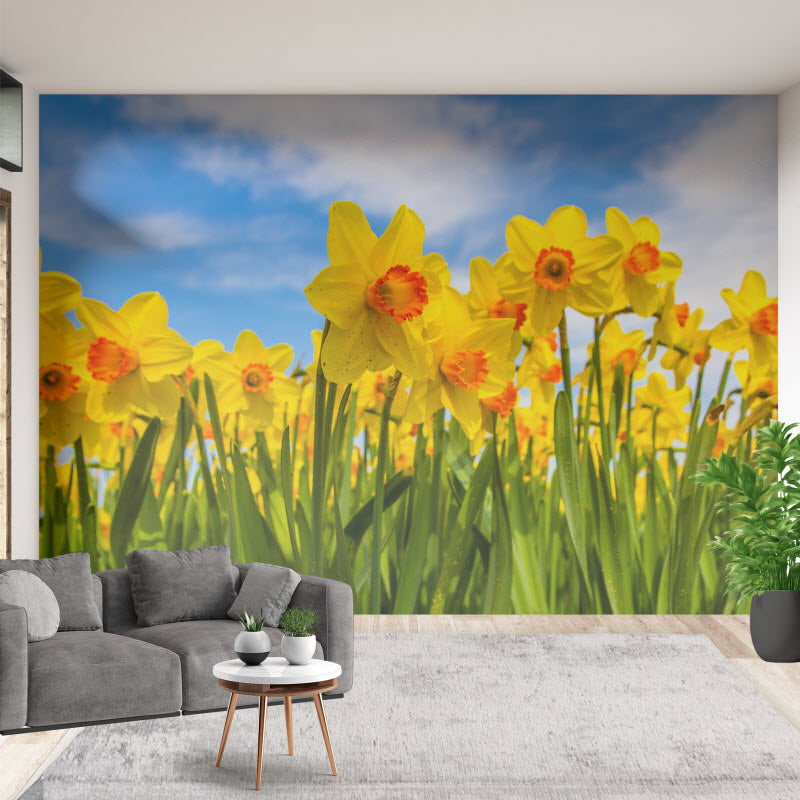 Tapete mit Motiv: Gelbe Narzissen