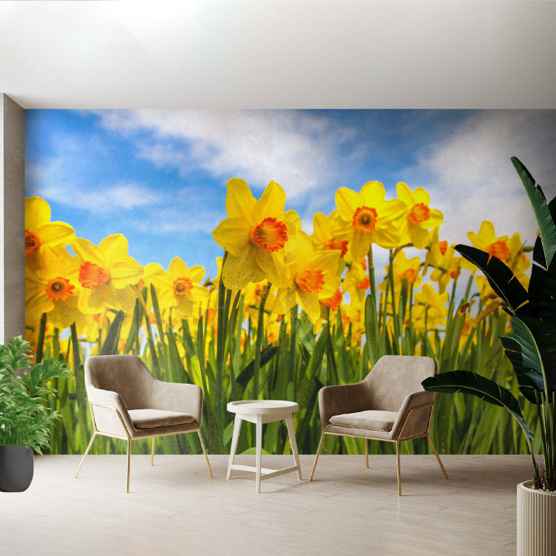 Tapete mit Motiv: Gelbe Narzissen