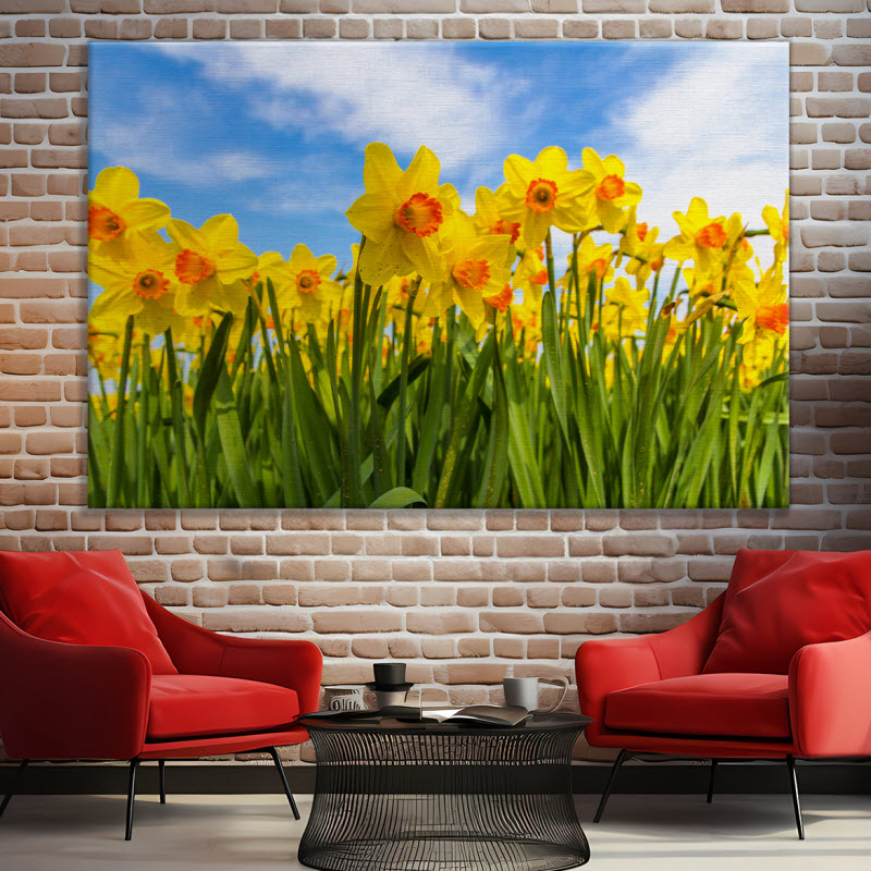 Leinwand mit Motiv: Gelbe Narzissen