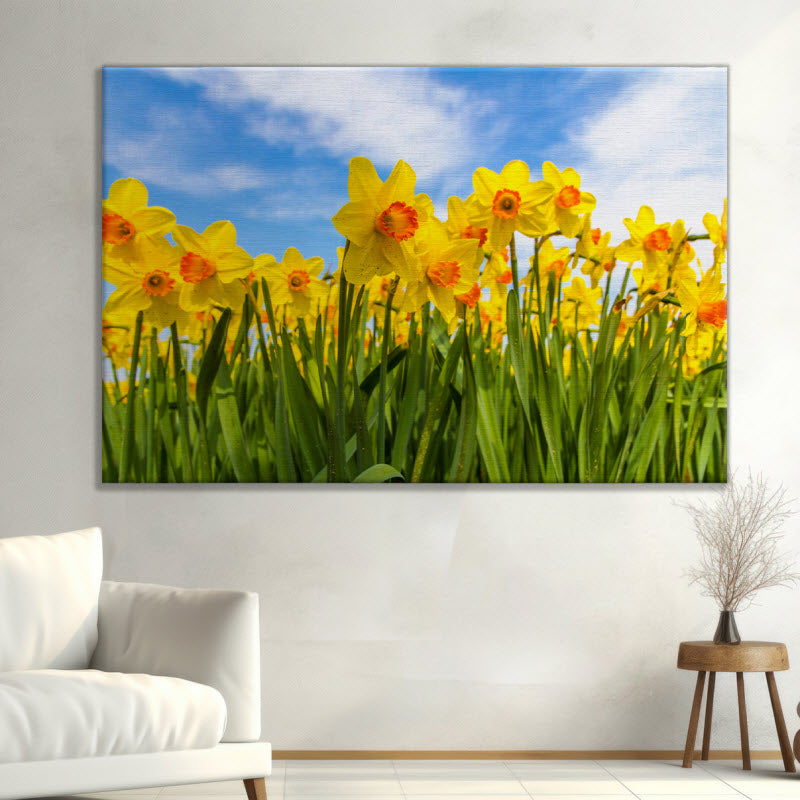 Leinwand mit Motiv: Gelbe Narzissen