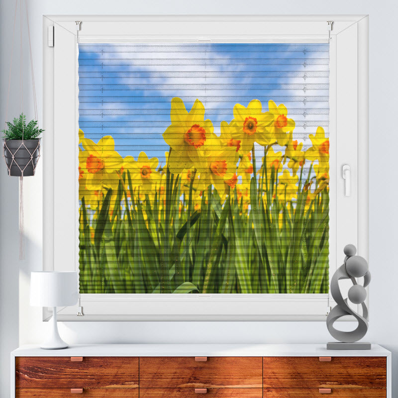 Wabenplissee mit Motiv: Gelbe Narzissen