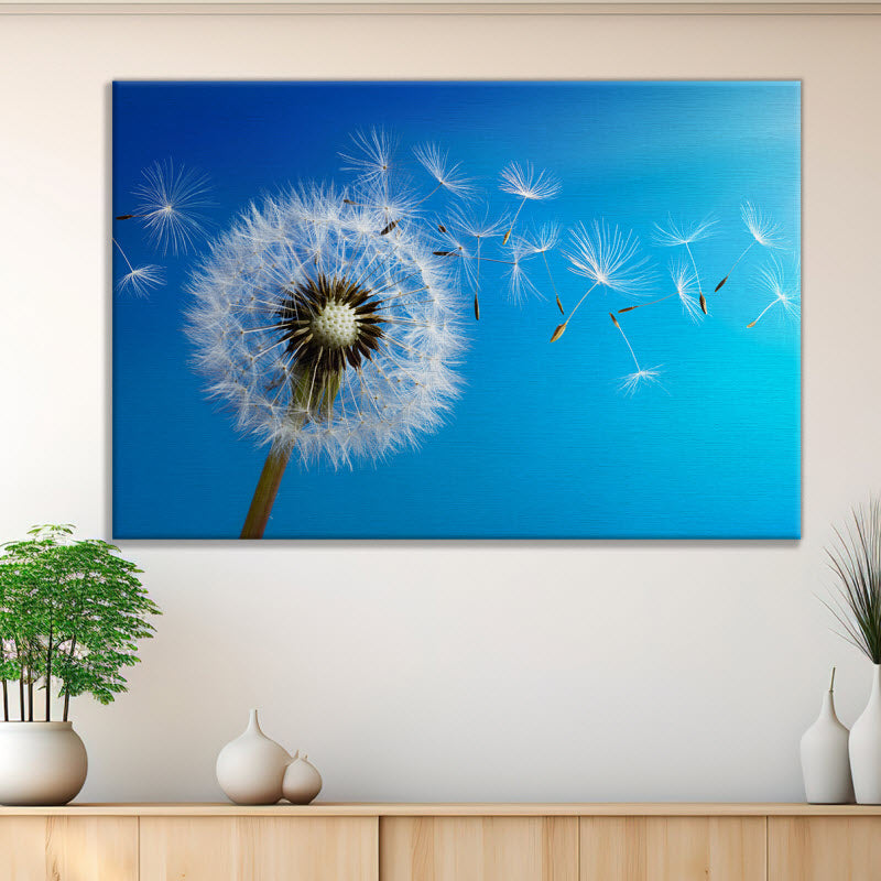 Leinwand mit Motiv: Pusteblume