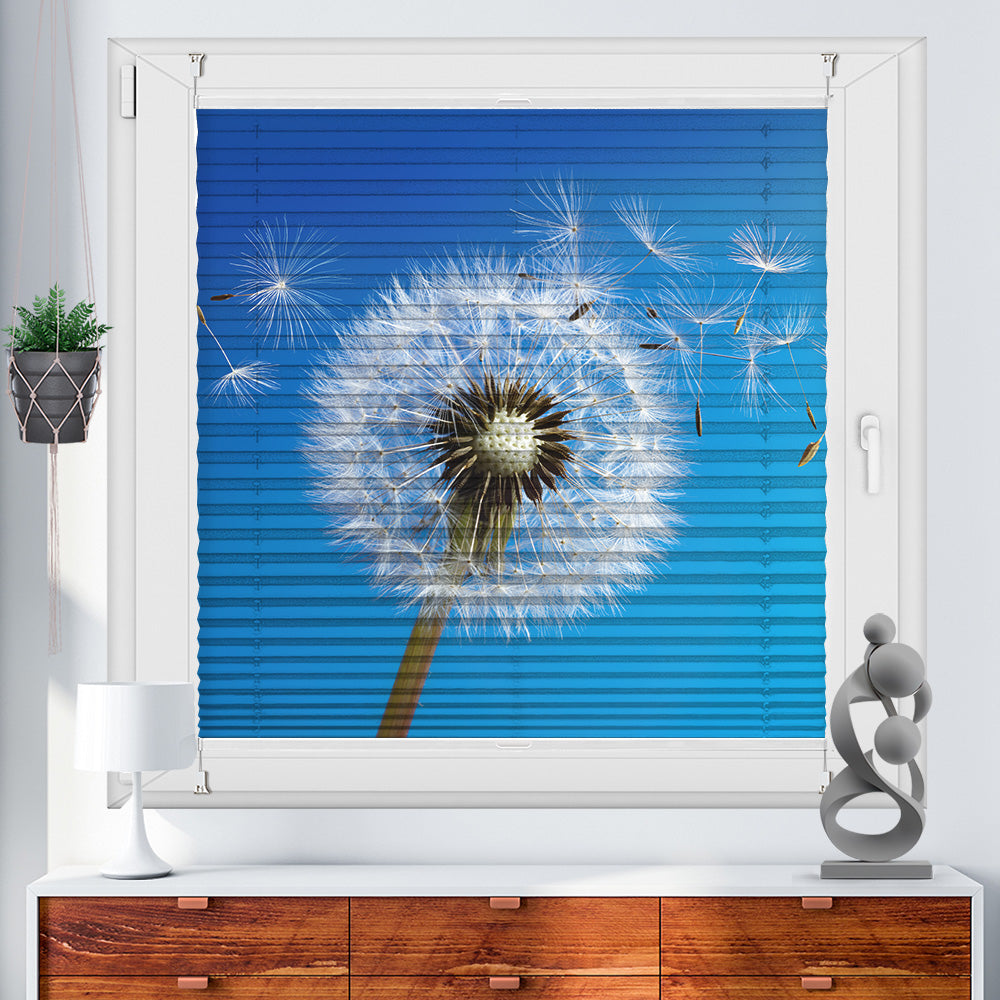 Foto Wabenplissee "Pusteblume"