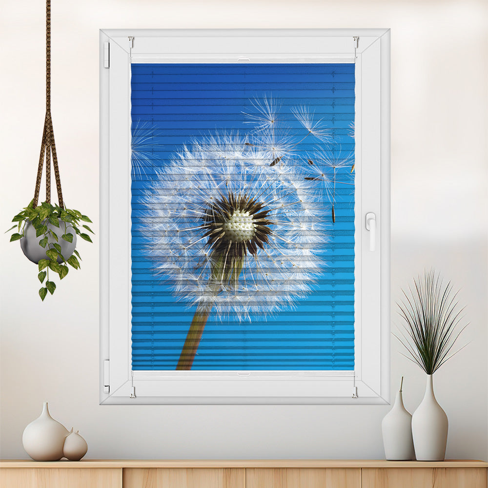 Foto Plissee "Pusteblume"